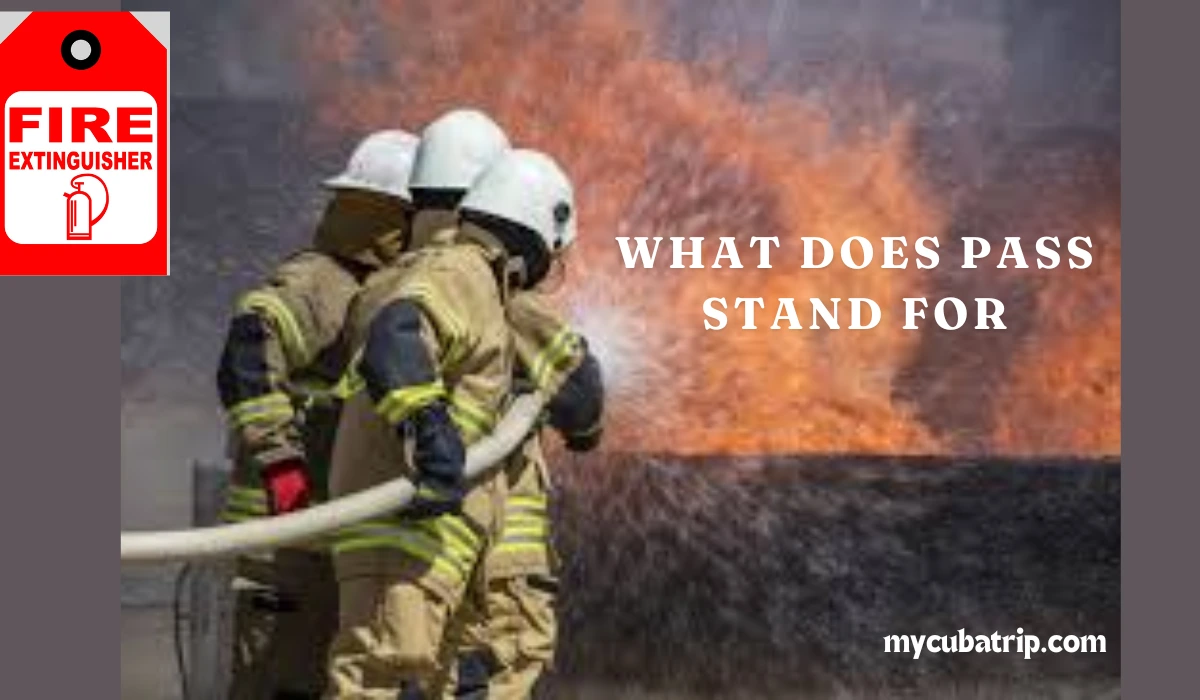 What Does Pass Stand For